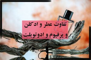 تفاوت و فرق عطر و ادکلن و اسانس و پرفیوم و ادو تویلت