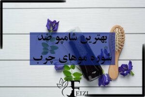 بهترین شامپو ضد شوره برای موهای چرب