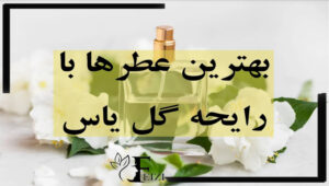بهترین عطر ها با رایحه و نت گل یاس